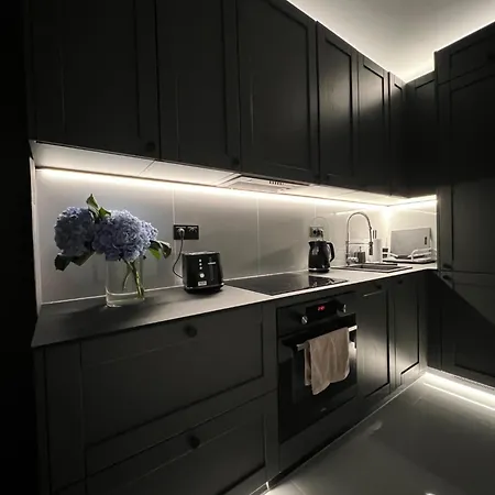 公寓 Pulawska - Warszawa 皮瑟兹诺